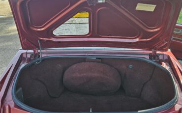 Cadillac-Eldorado-biarritz-1984-Burgundy-Burgundy-26