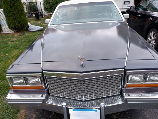 Cadillac-Fleetwood-1981-16