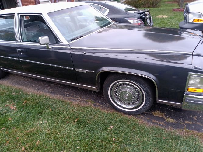 Cadillac-Fleetwood-1981-20