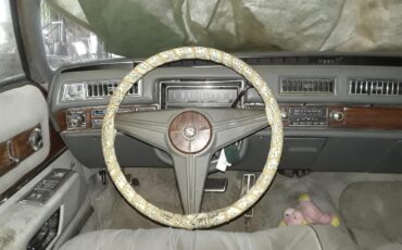 Cadillac-Fleetwood-brougham-delegance-1976-Silver-Silver-7