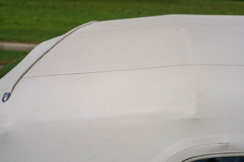 Cadillac-Other-1966-Mist-Blue-exterior-Black-19