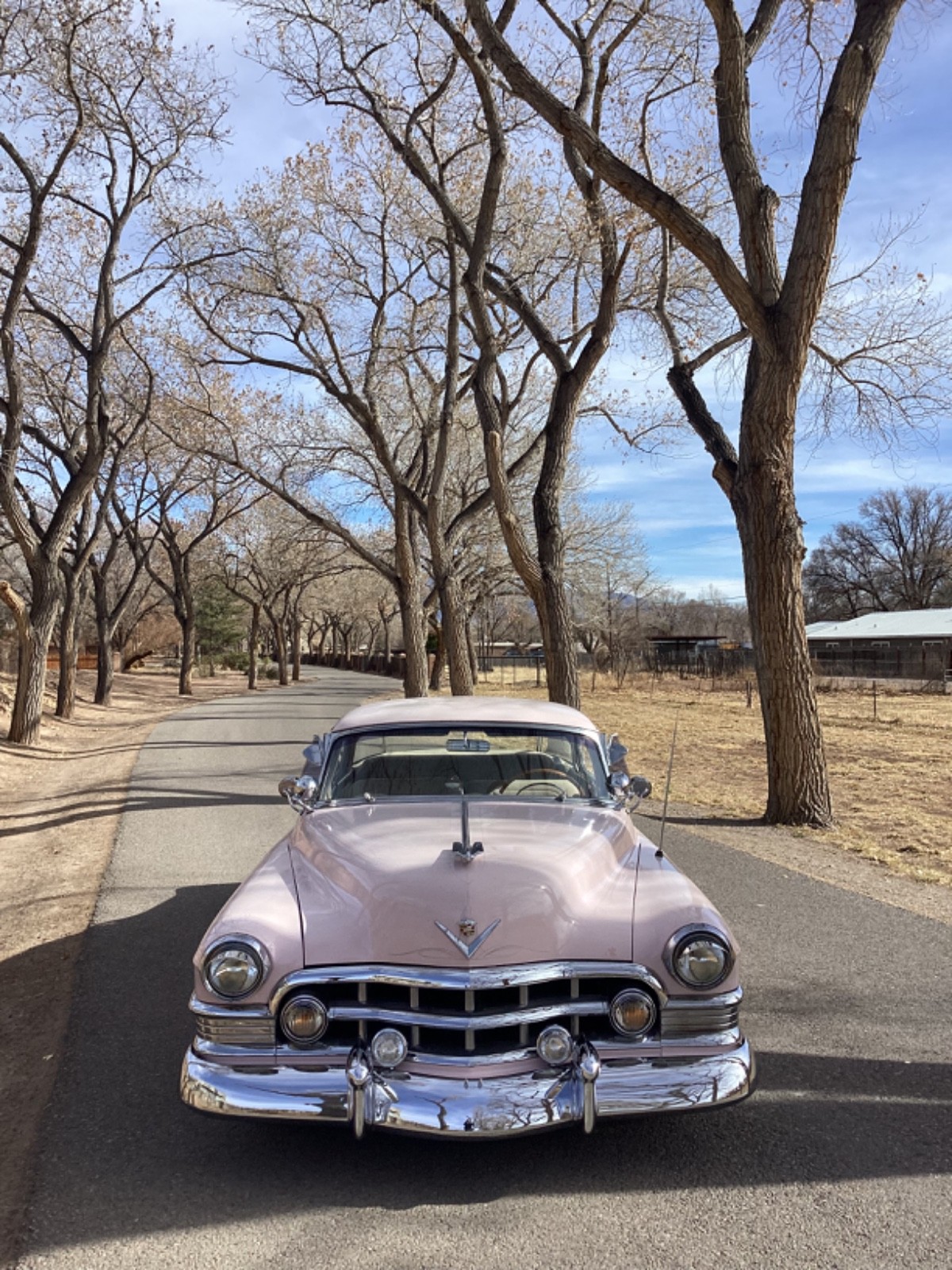 Cadillac-Series-62-1950-Coupe-9