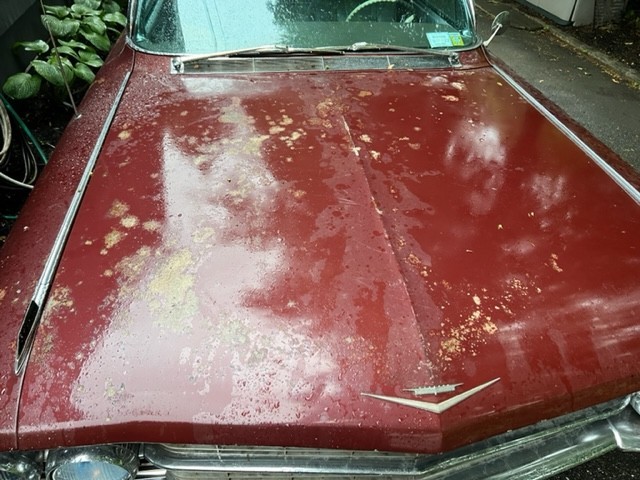 Cadillac-Series-62-1962-Convertible-15