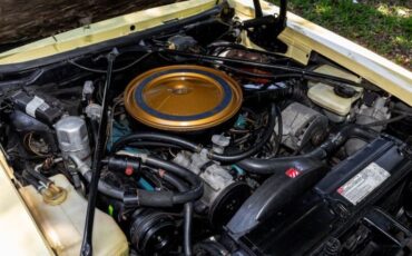 Cadillac-Seville-1977-Naples-Yellow-Yellow-Leather-25