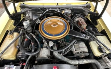 Cadillac-Seville-1977-Naples-Yellow-Yellow-Leather-5