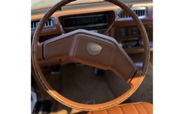 Cadillac-Seville-1979-Medium-Brown-Tan-47