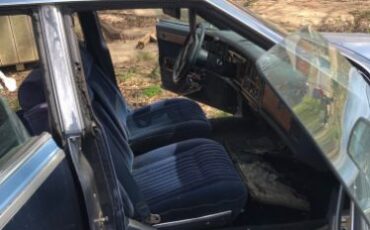 Cadillac-Seville-1981-10