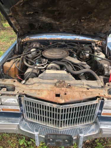 Cadillac-Seville-1981-12
