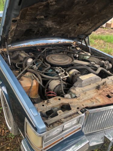 Cadillac-Seville-1981-13