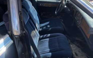 Cadillac-Seville-1981-8