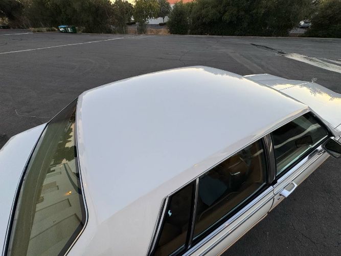 Cadillac-Seville-1984-White-11