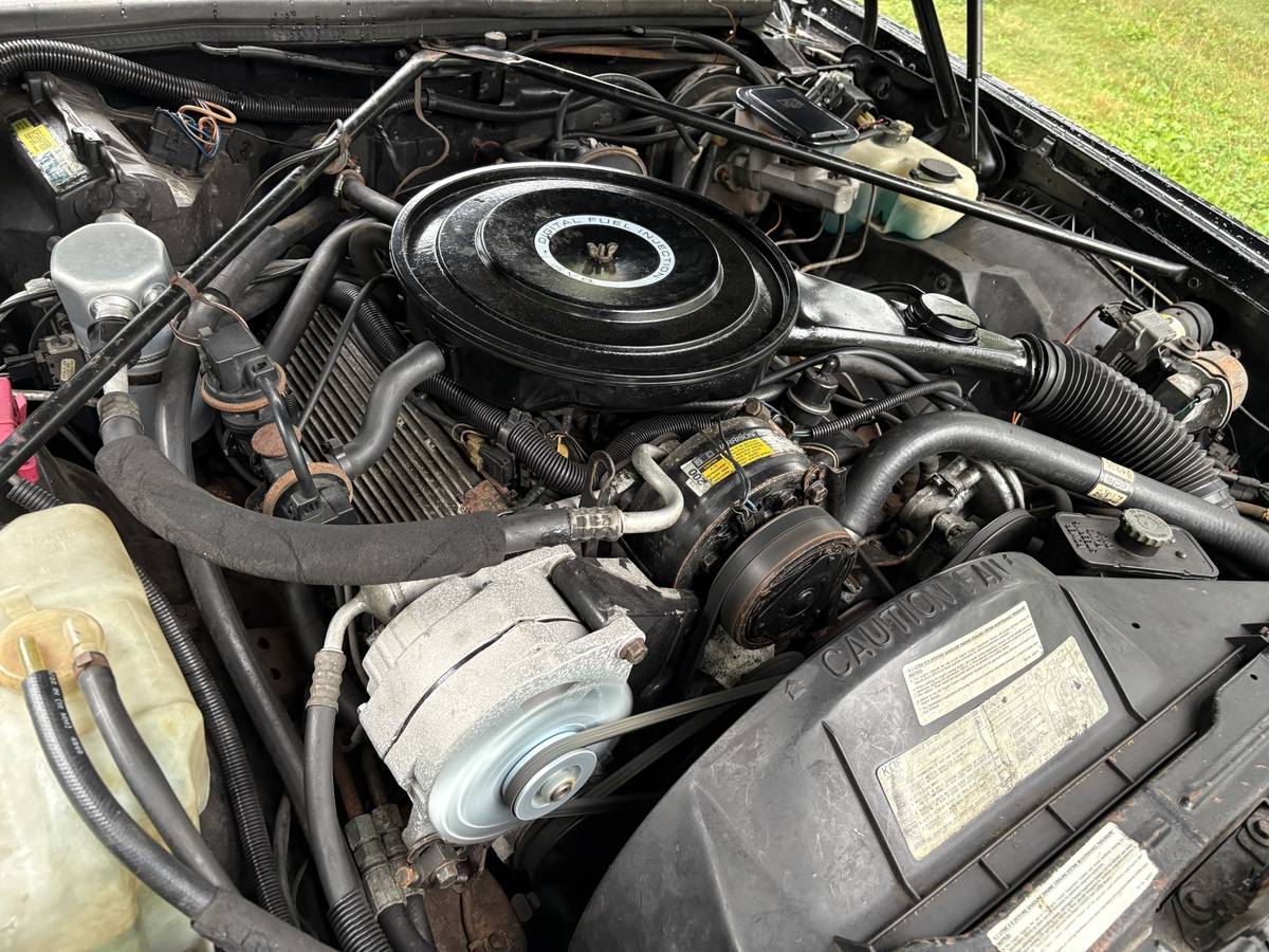 Cadillac-eldorado-1985-black-8