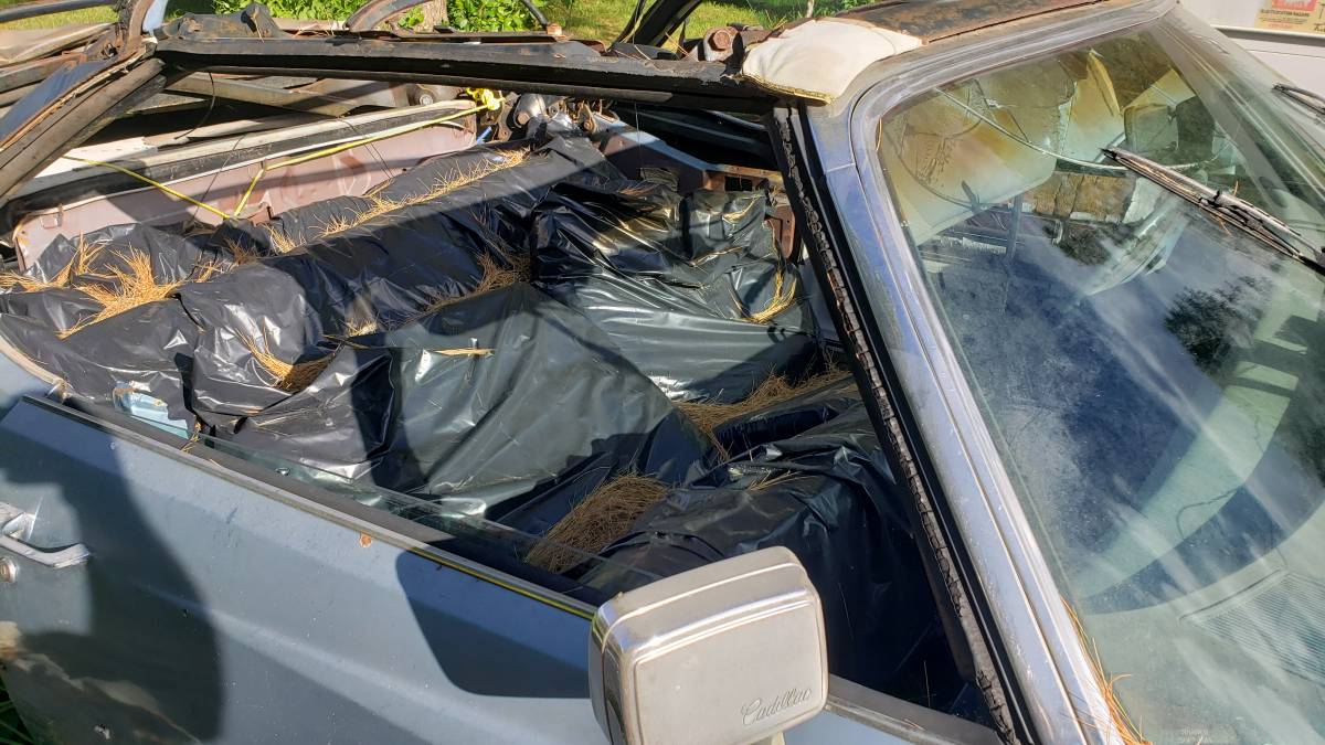 Cadillac-eldorado-convertible-1976-blue-6