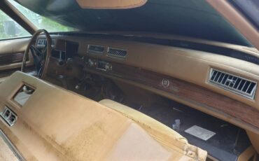 Cadillac-eldorado-sedan-1976-brown-4