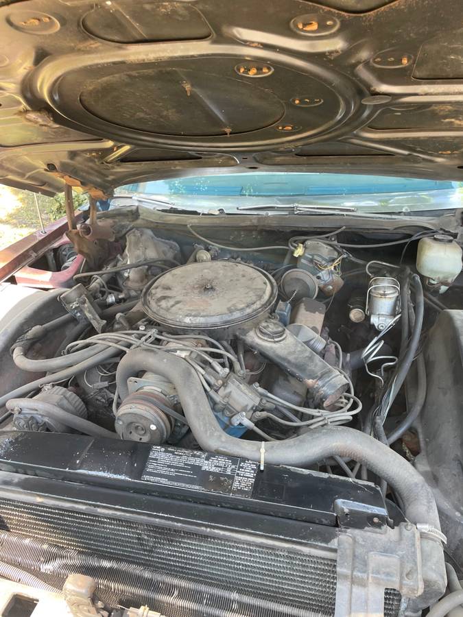 Cadillac-escalade-1976-10