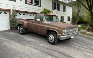 Chevrolet-1-ton-dually-1981-Brown-metallic-Beige-1
