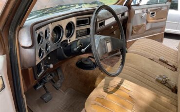 Chevrolet-1-ton-dually-1981-Brown-metallic-Beige-10