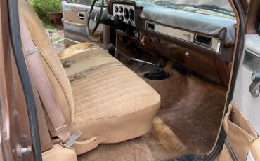 Chevrolet-1-ton-dually-1981-Brown-metallic-Beige-13