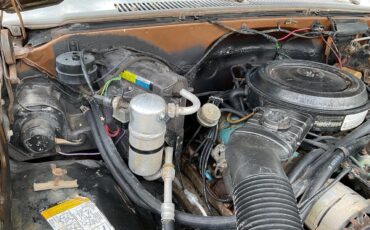 Chevrolet-1-ton-dually-1981-Brown-metallic-Beige-17