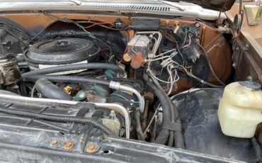Chevrolet-1-ton-dually-1981-Brown-metallic-Beige-18
