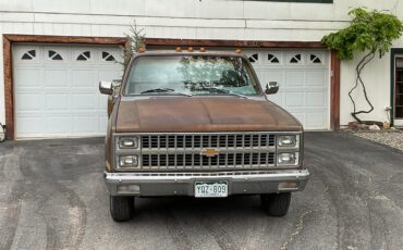 Chevrolet-1-ton-dually-1981-Brown-metallic-Beige-2
