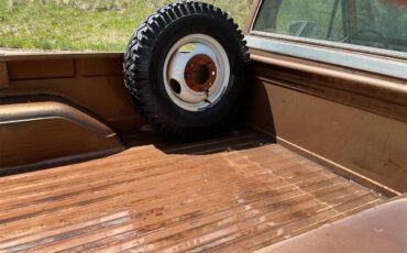 Chevrolet-1-ton-dually-1981-Brown-metallic-Beige-21