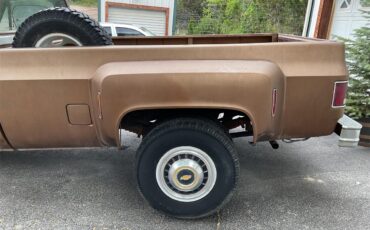 Chevrolet-1-ton-dually-1981-Brown-metallic-Beige-24