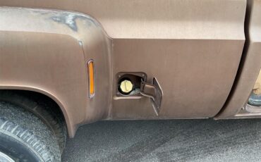 Chevrolet-1-ton-dually-1981-Brown-metallic-Beige-25