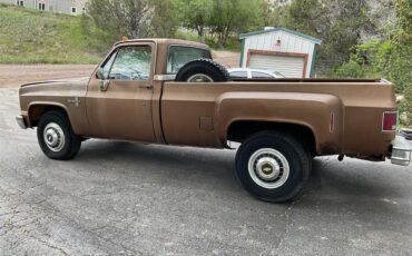 Chevrolet-1-ton-dually-1981-Brown-metallic-Beige-3