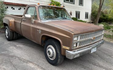 Chevrolet-1-ton-dually-1981-Brown-metallic-Beige