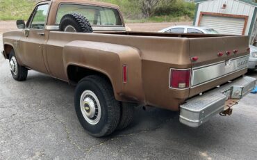 Chevrolet-1-ton-dually-1981-Brown-metallic-Beige-4