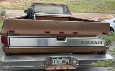 Chevrolet-1-ton-dually-1981-Brown-metallic-Beige-5