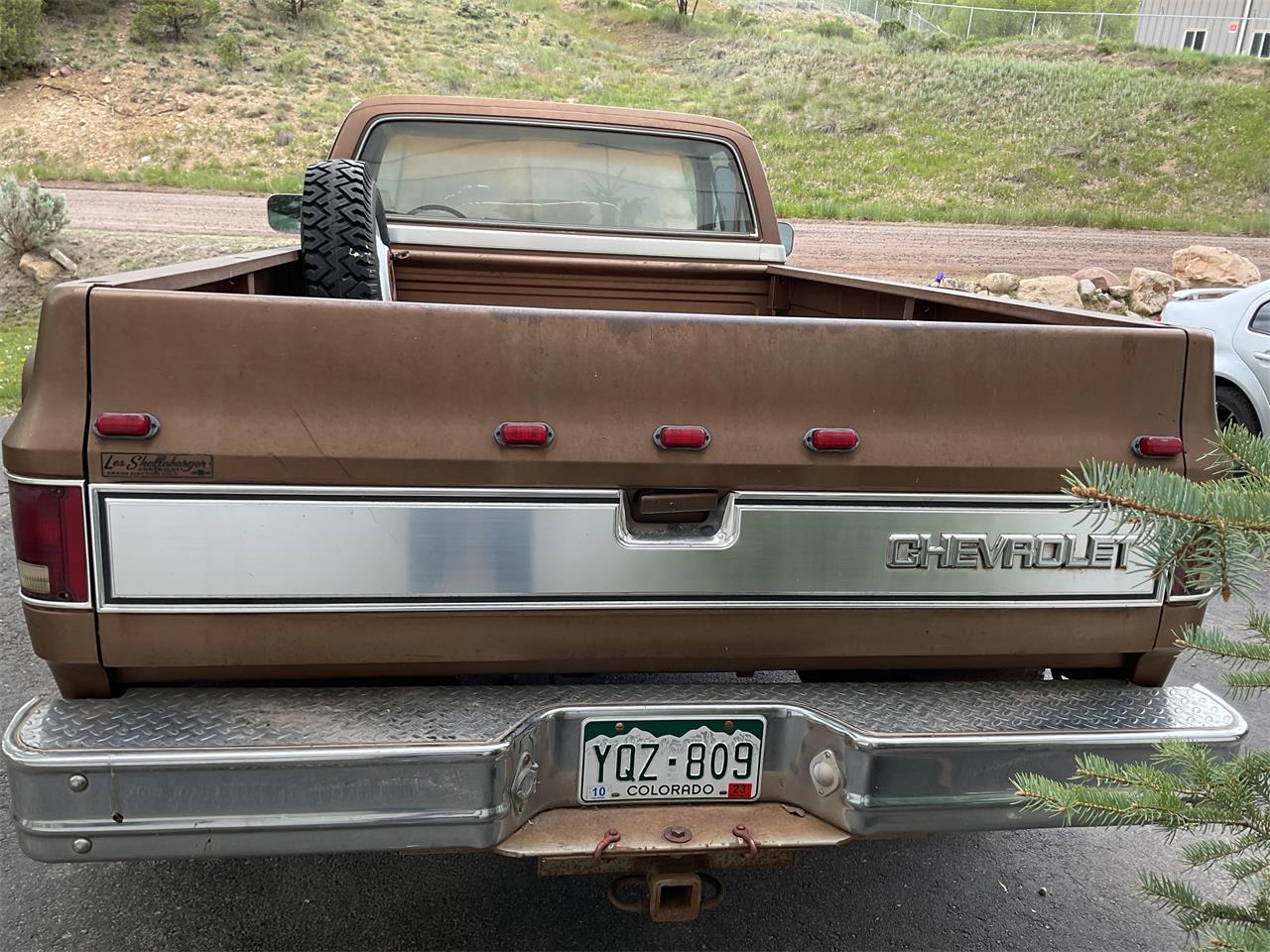 Chevrolet-1-ton-dually-1981-Brown-metallic-Beige-5