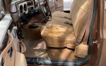 Chevrolet-1-ton-dually-1981-Brown-metallic-Beige-8