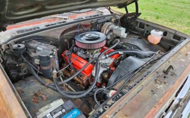 Chevrolet-1500-1976-Gray-Red-10