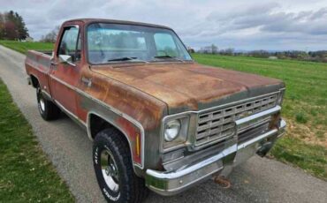 Chevrolet-1500-1976-Gray-Red-11