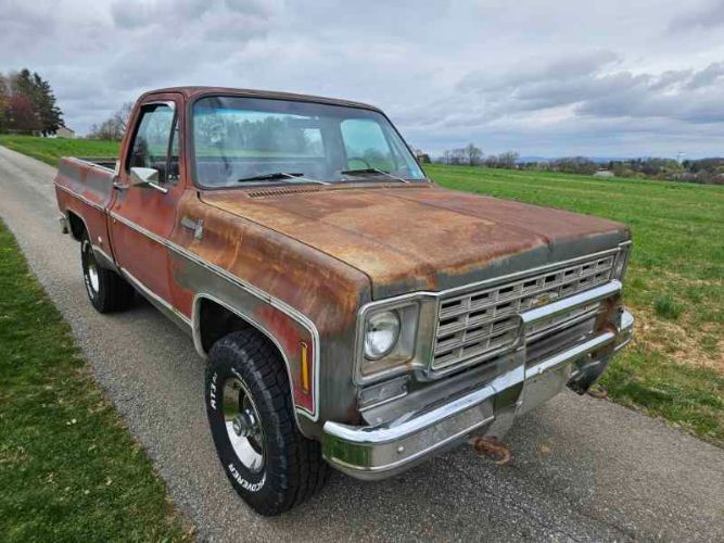 Chevrolet-1500-1976-Gray-Red-11