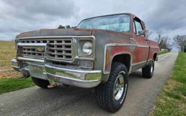 Chevrolet-1500-1976-Gray-Red-12