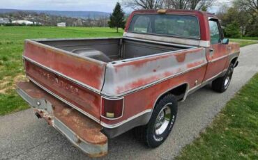 Chevrolet-1500-1976-Gray-Red-13