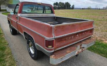 Chevrolet-1500-1976-Gray-Red-14