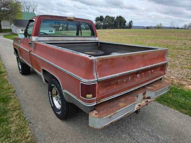 Chevrolet-1500-1976-Gray-Red-14