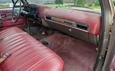 Chevrolet-1500-1976-Gray-Red-15
