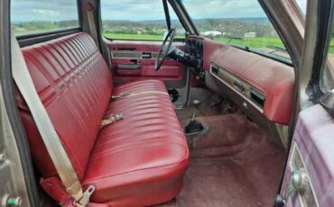 Chevrolet-1500-1976-Gray-Red-17