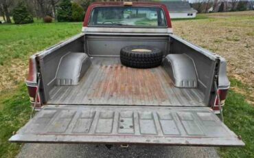 Chevrolet-1500-1976-Gray-Red-18