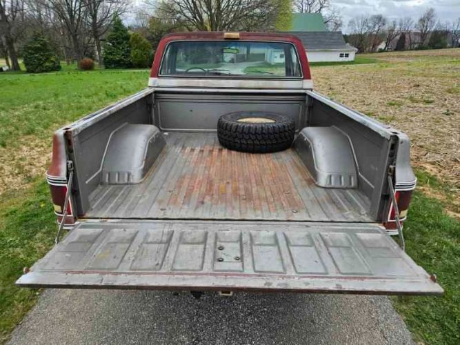 Chevrolet-1500-1976-Gray-Red-18