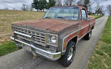 Chevrolet-1500-1976-Gray-Red