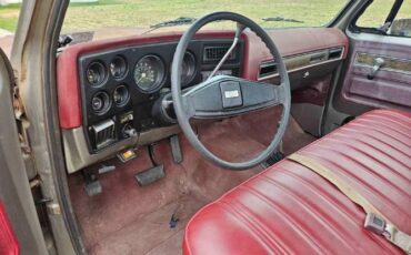 Chevrolet-1500-1976-Gray-Red-6