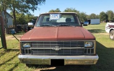 Chevrolet-1500-1982-2