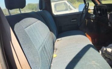 Chevrolet-1500-1982-3