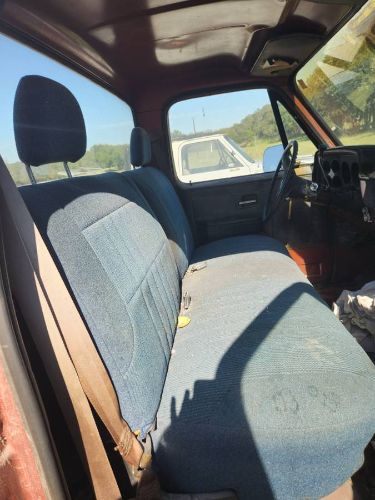 Chevrolet-1500-1982-3